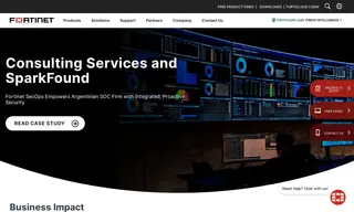 Preview of the Consulting Services and SparkFound Case Study