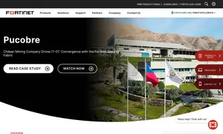 Preview of the Pucobre Case Study