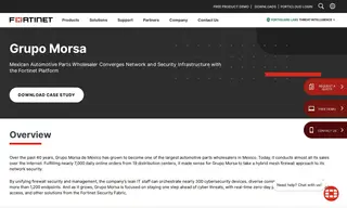 Preview of the Grupo Morsa Case Study