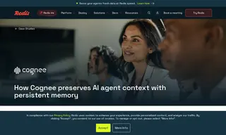 Preview of the Cognee Case Study