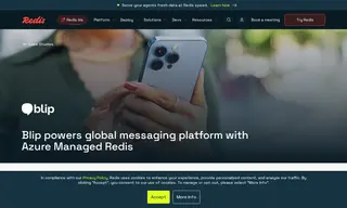 Preview of the Blip Case Study