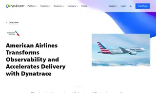 Preview of the American Airlines Case Study