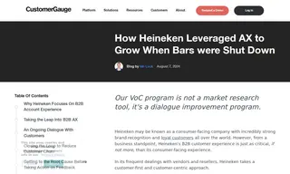 Preview of the Heineken Case Study