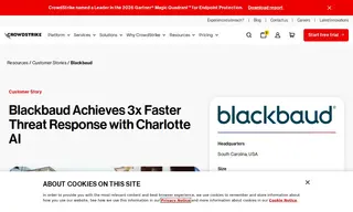 Preview of the Blackbaud Case Study