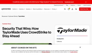 Preview of the TaylorMade Golf Case Study