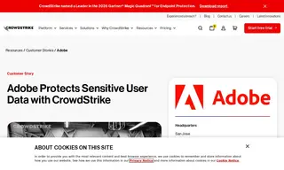 Preview of the Adobe Case Study