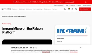 Preview of the Ingram Micro Case Study