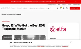 Preview of the Grupo Elfa Case Study