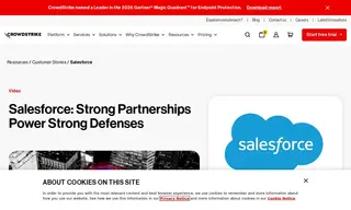 Preview of the Salesforce Case Study