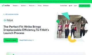 Preview of the Fitbit Case Study