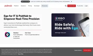Preview of the Ego for Information Technology Case Study