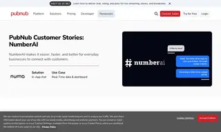 Preview of the NumberAI Case Study