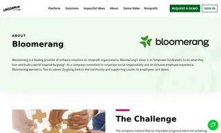 Preview of the Bloomerang Case Study