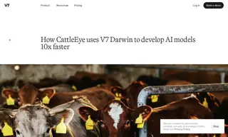 Preview of the CattleEye Case Study