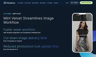Preview of the Mint Velvet Case Study