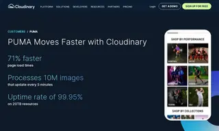 Preview of the Puma Case Study