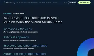 Preview of the FC Bayern München AG Case Study