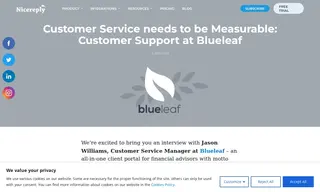 Preview of the Blueleaf Case Study