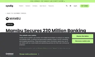 Preview of the Mambu Case Study