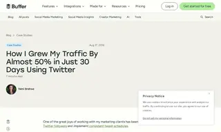 Preview of the Marketing Consulting Service Case Study