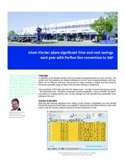 Preview of the Eisen-Fischer GmbH Case Study