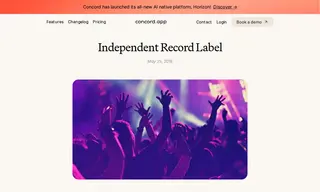 Preview of the Independent Record Label Case Study