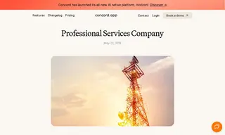 Preview of the Professional Services Company Case Study