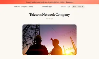 Preview of the Telecom Network Company Case Study