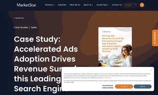 Preview of the Global Search Engine Leader Case Study