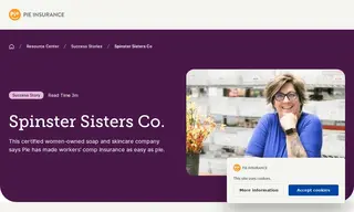 Preview of the Spinster Sisters Co Case Study