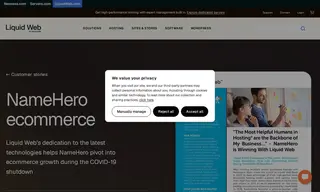 Preview of the NameHero Case Study