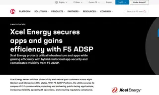 Preview of the Xcel Energy Case Study
