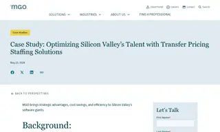 Preview of the Public Software Company in Silicon Valley Case Study