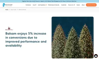 Preview of the Balsam Brands Case Study