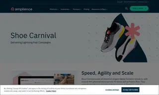 Preview of the Shoe Carnival Case Study