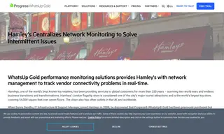 Preview of the Hamleys Case Study