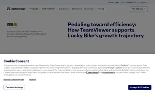 Preview of the Lucky Bike Case Study