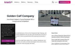 Preview of the Golden Calf Company Case Study