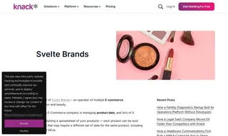 Preview of the Svelte Brands Case Study