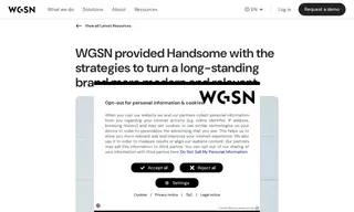 Preview of the Handsome Case Study