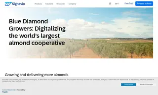 Preview of the Blue Diamond Growers Case Study