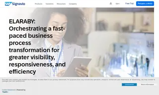 Preview of the Elaraby Group Case Study