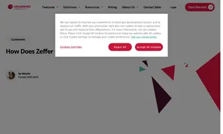 Preview of the Zeffer Cider Case Study