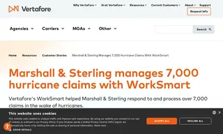 Preview of the Marshall & Sterling Insurance Case Study