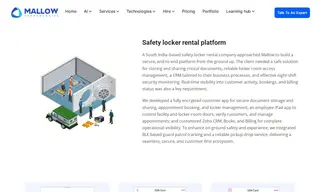 Preview of the South India–based Safety Locker Rental Company Case Study