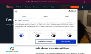 Preview of the Bouygues Telecom Case Study