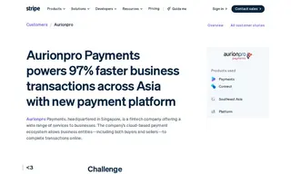 Preview of the Aurionpro Payments Case Study