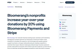 Preview of the Bloomerang Case Study