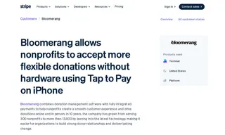 Preview of the Bloomerang Case Study