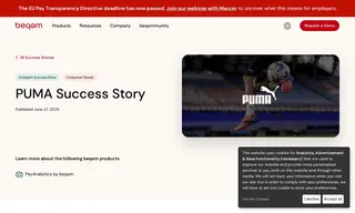 Preview of the Puma Case Study